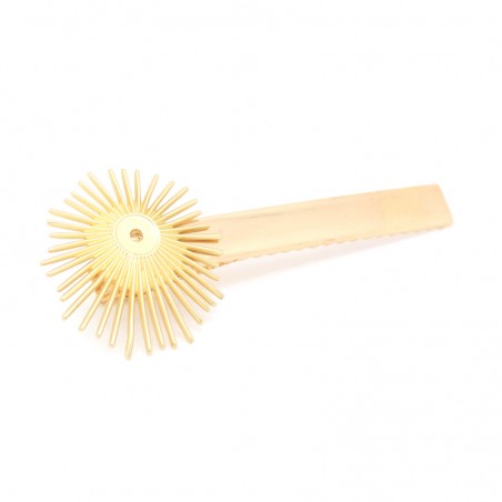 pince à cheveux Versailles